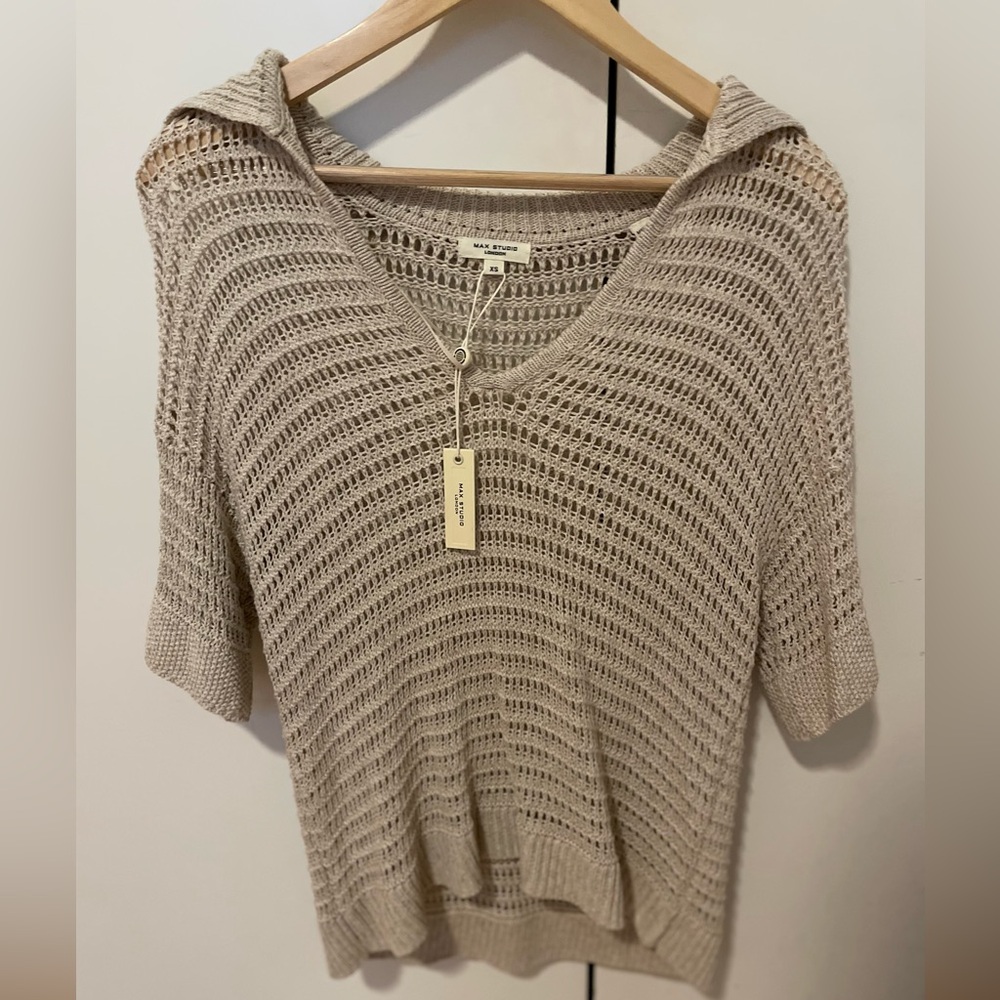 Max Studio Taupe V-Neck Sweater